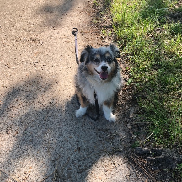 Meet your Posher, Kathleen - Picture 4 of 7